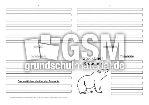 Braunbär-Faltbuch-vierseitig.pdf